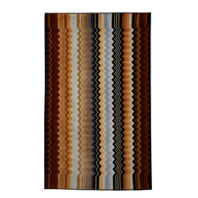 Load image into Gallery viewer, MISSONI HOME / Giacomo 160 Towel Collection
